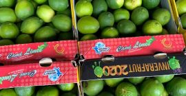 Lime price per 1 kg - lime for sale - buy lime